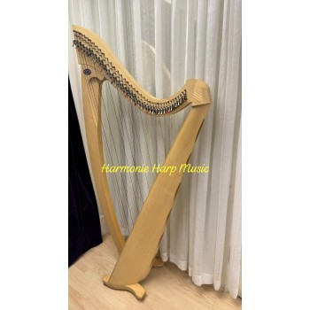 SOLD - 2nd Hand Salvi Titan 38 Strings Lever Harp SOLD - 2nd Hand Salvi Titan 38 Strings Lever Harp
